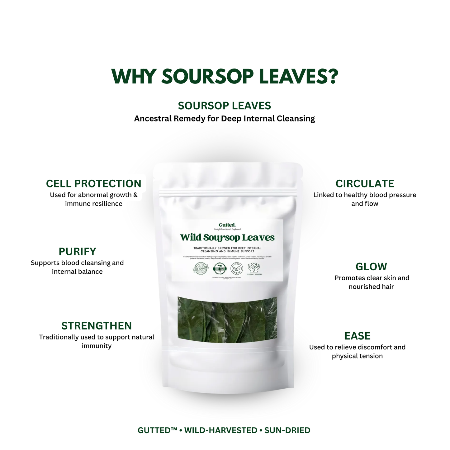 Wild Soursop Leaves – 100% Natural Graviola | Sun-Dried Herbal Tea