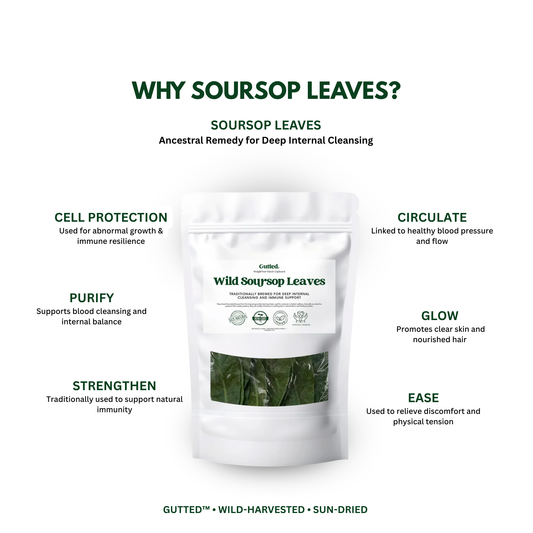 Wild Soursop Leaves – 100% Natural Graviola | Sun-Dried Herbal Tea