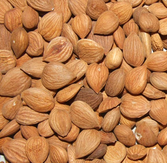 Raw Bitter Apricot Kernels – 100g | 200g | Wild-Harvested | Non-GMO
