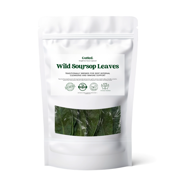 Wild Soursop Leaves – 100% Natural Graviola | Sun-Dried Herbal Tea