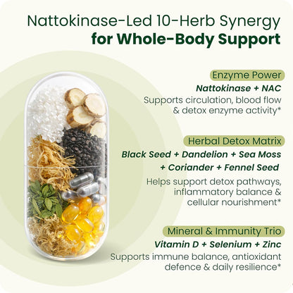 Gutted™ Nattokinase 200mg 4000 FU |High Strength, 60 Capsules,Enzymes | Heart, Blood Pressure & Circulation Support | Vitamin D, Black Seed, Selenium & Dandelion | Non GMO, No Fillers | UK