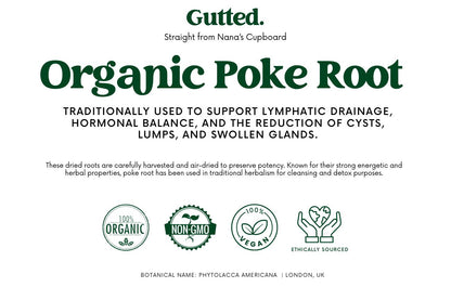 Organic Wildcrafted Poke Root Herb 50g | Dried Phytolacca Americana  | Premium Dried Whole Root for Oil Infusion | Free Shipping