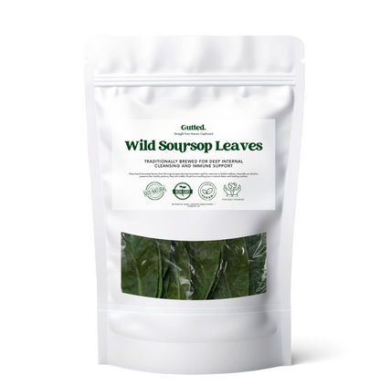 Wild Soursop Leaves – 100% Natural Graviola | Sun-Dried Herbal Tea
